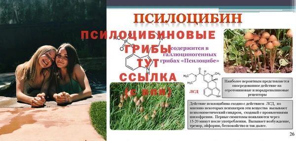 тгк Алексеевка