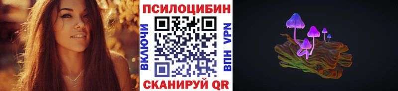 сколько стоит  Каневская  Псилоцибиновые грибы Psilocybine cubensis 