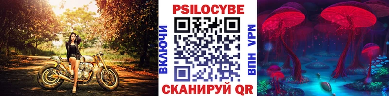 Галлюциногенные грибы Magic Shrooms Каневская